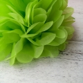 citrus green hanging tissue pom poms, paper flowers for party decorations
