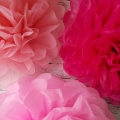 Mixed pink pom poms tissue paper decorations diy wedding party supplies