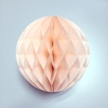 Pack of 6 Pink Tissue Pom Poms, Paper Fans, Honeycomb Balls, Decoration Lanterns