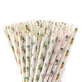 Hawaiian Tropical Party Paper Straws, Flamingo/Pineapple/Cactus/Coconut Tree Biodegradable Straws for Beach Cocktail Luau Decorations