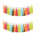 30PCS Taco Bout a Party Tassel Garland Tissue Paper Tassels Banner DIY Kit Baby Shower Party Taco Tuesday Fiesta Party Bachelorette Llama Party Decorations