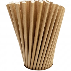 100 Kraft Biodegradable Paper Straws co-Friendly Biodegradable Drinking Straws Bulk for Party Supplies, Bridal/Baby Shower, Birthday, Mixed Drinks, Weddings, Restaurant, Food Service, Drink Stirrer