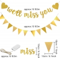 We Will Miss You Decorations Kit, Going Away Farewell Sign Banner Gold Glitter Triangle Flag Star Swirl Led Fairy String Banner Décor for Retirement Office Work Job Chang Party Supplies