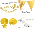 We Will Miss You Decorations Kit, Going Away Farewell Sign Banner Gold Glitter Triangle Flag Star Swirl Led Fairy String Banner Décor for Retirement Office Work Job Chang Party Supplies