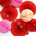 Cheerland Rose Red Pink Party Pom Pom Kit for Valentines Day Decorations Hanging Garlands Streamer Fan Flower PomPom Decor Event Celebration Decor Anniversary Wedding Bachelorette Party Suppliers